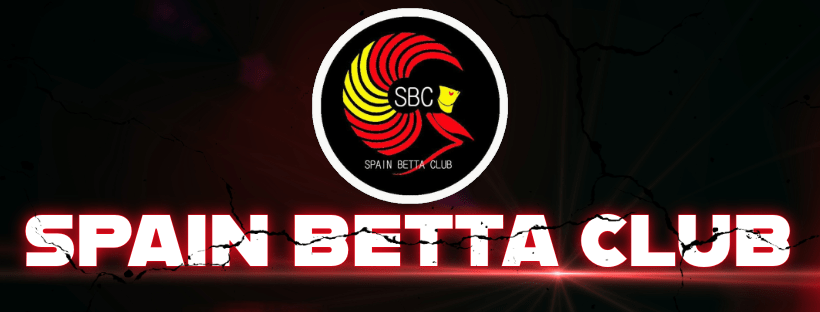 SPAIN BETTA CLUB Asociación sin ánimo de lucro desde 2014.